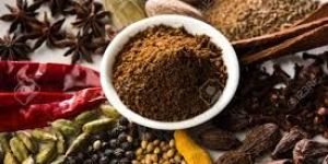 Garam Masala Powder