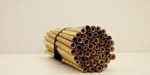 Bamboo Straw