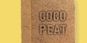 Cocopeat