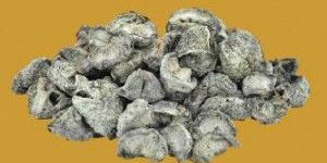 Dryroot Natural Dried Gooseberries