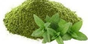 Mint Leaf Powder