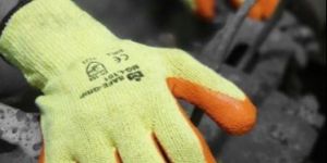 Safety Vinyl Gloves