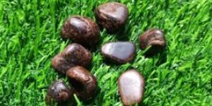 Garnet Tumbled Stone