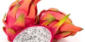 Dragon Fruit Plants