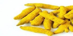 Organic Turmeric Finger