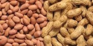 Shelled Groundnuts