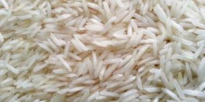 Raw Basmati Rice
