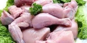 Fresh Chicken Meat