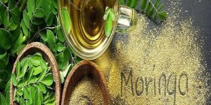 Moringa Oleifera