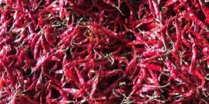 Dry Red Chilli