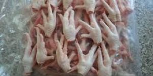 Frozen Chicken Paws