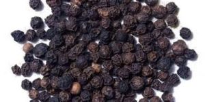 Black Pepper