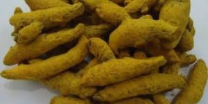 Turmeric Fingers