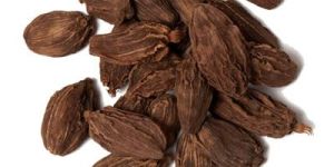 Black Cardamom