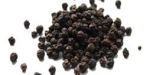 Black Pepper Seeds