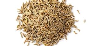 Cumin Seeds