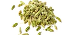 Fennel Seeds