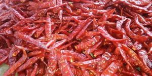 334 Red Chilli