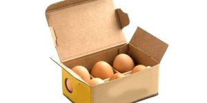 Egg Packaging Box