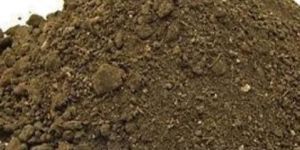 Bio Organic Manure