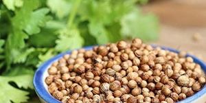 Dhania Seeds