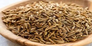 Cumin Seeds