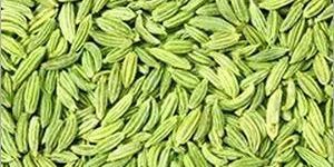 Green Fennel Seeds