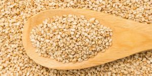 White Sesame Seeds