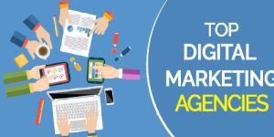 Digital Marketing Agency