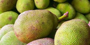 Fresh Jackfruit