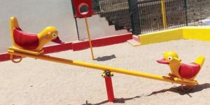 Duck Seesaw