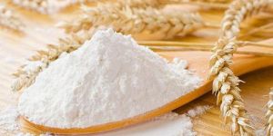 Wheat Flour