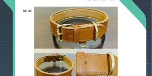 Dog Collars