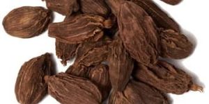 Black Cardamom