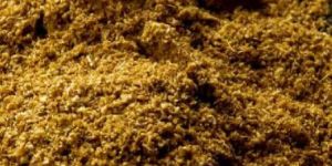Normal Ground Cumin Powder