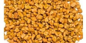 Normal Whole Fenugreek Seeds