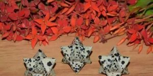 Dalmatian Jasper Semi Precious Stone