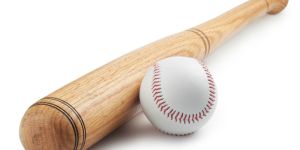 Baseball Bat