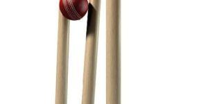 Cricket Wicket