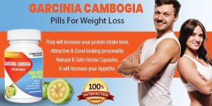 Weight Gain Supplements