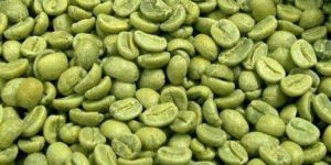 Green Coffee Beans