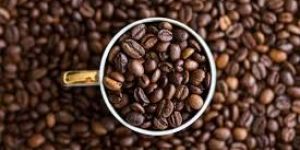 Robusta and Arabica Coffee Beans