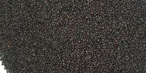 Black Mustard Seeds