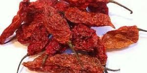 Bhut Jolokia