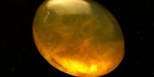 11.20 Carat Honey Opal Stone