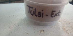 Tulsi Extract