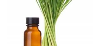 Lemongrass Oil