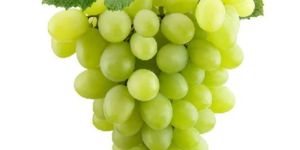 Fresh Green Grapes