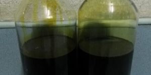 Agarwood Oil