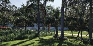 Landscape Design Service